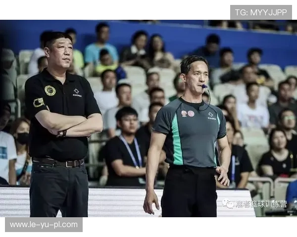 申京与格林强强联手，联手打造篮球新篇章